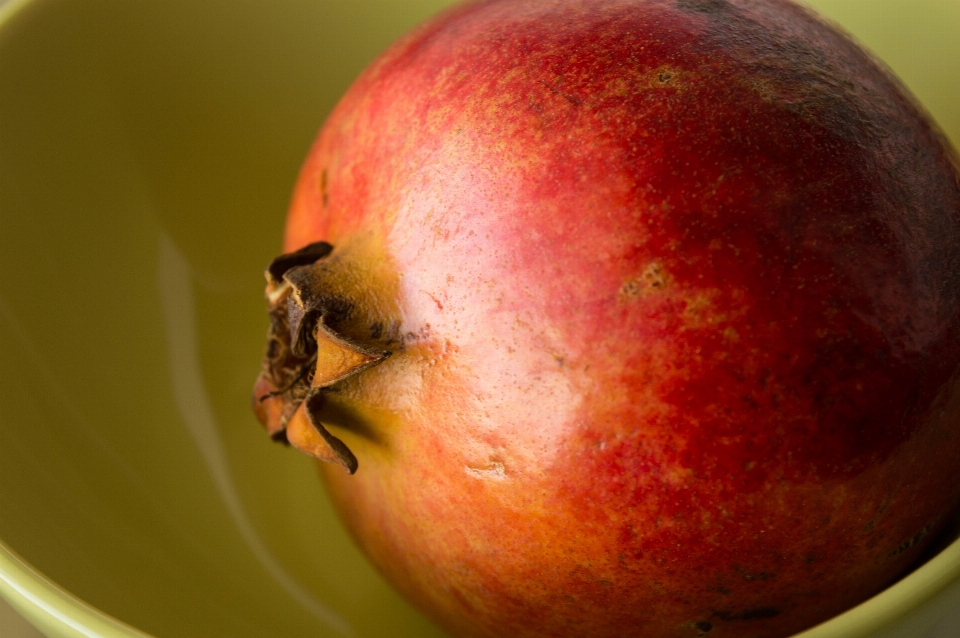 Apple 植物 フルーツ 食べ物