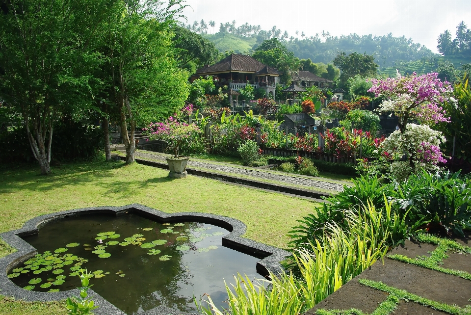 Air halaman rumput bunga kolam