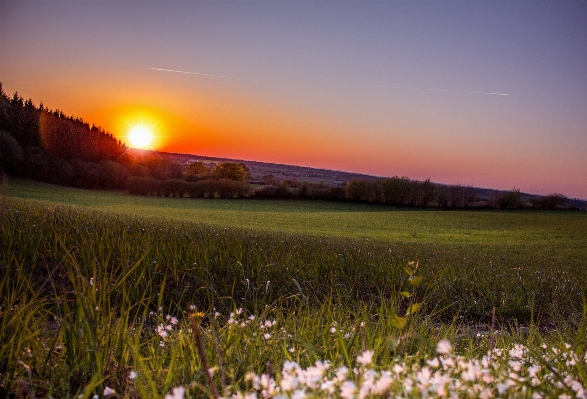 Foto Paisagem árvore natureza grama