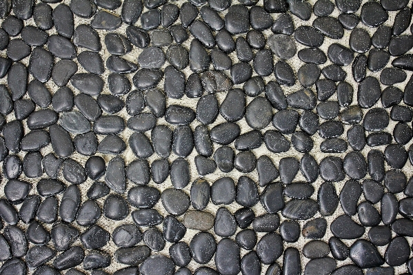 Rock texture floor cobblestone Photo