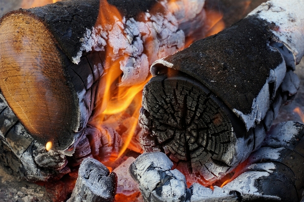 Wood leaf autumn flame Photo