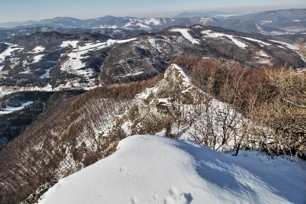 Landscape nature forest rock Photo