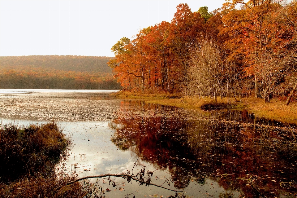 Landschaft baum wasser natur