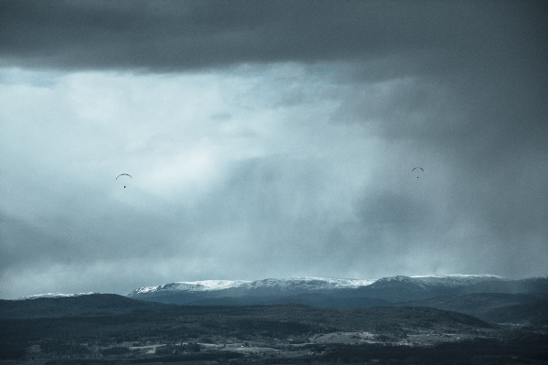 Landscape sea mountain snow Photo