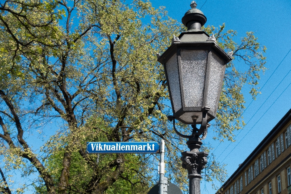 Tree downtown lantern tower