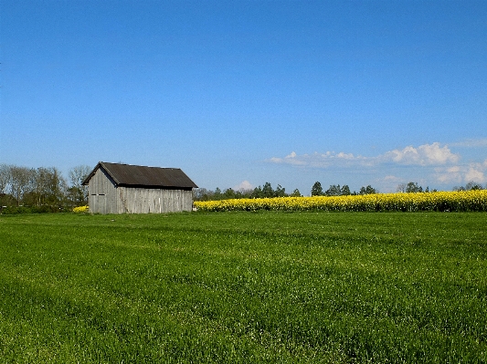 Landschaft natur gras himmel Foto