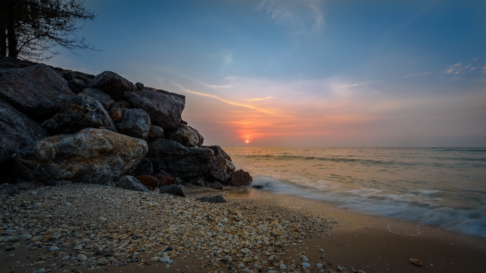 Pantai laut pesisir pohon