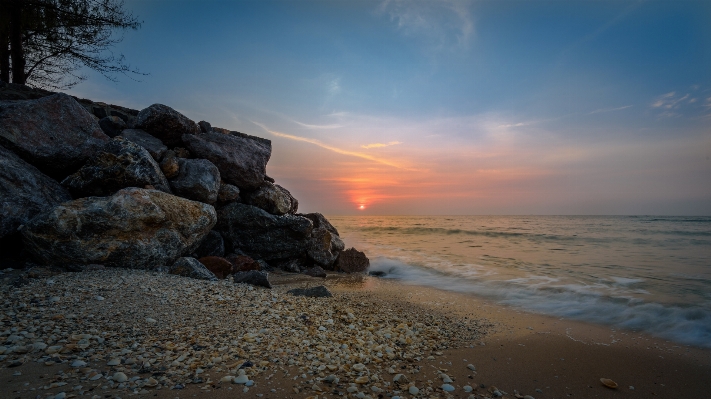 ビーチ 海 海岸 木 写真