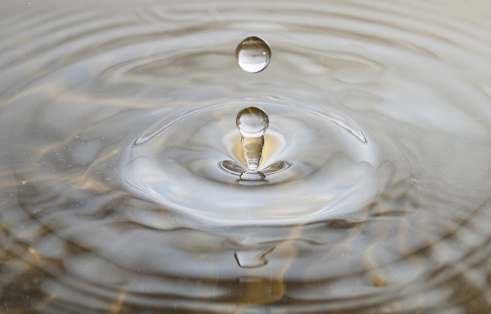 Agua gota flor pétalo