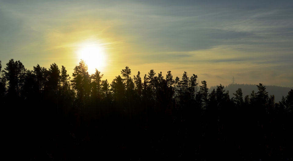 Paisagem natureza floresta horizonte