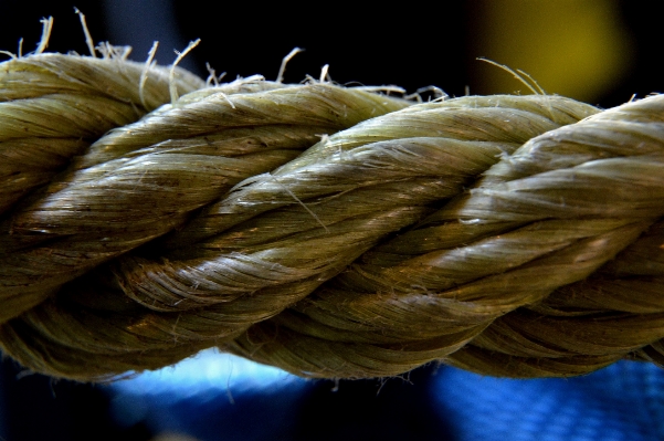 Rope leaf string flower Photo