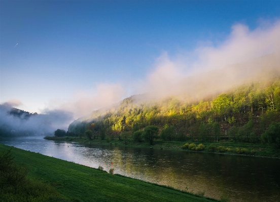 Landscape tree water nature Photo