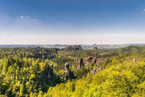 Landscape tree forest rock Photo