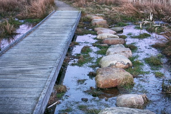 Water bridge river stone Photo