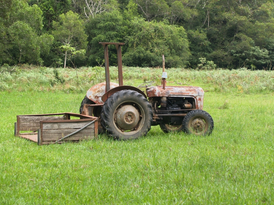 Arbeiten natur gras anlage