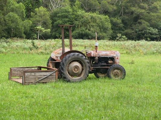 Work nature grass plant Photo