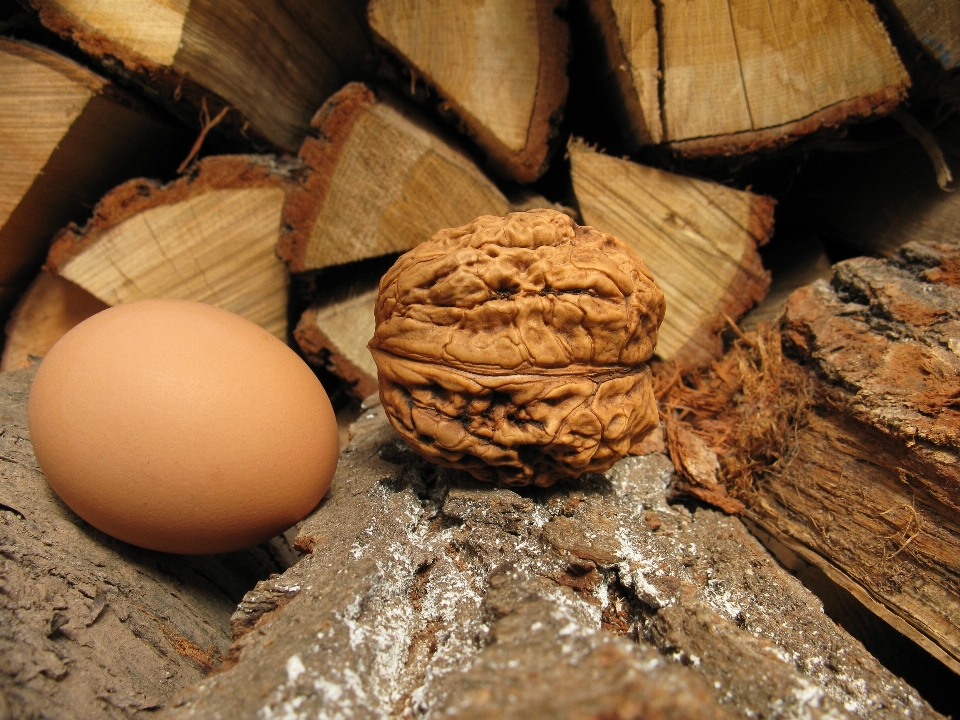 Nature bois nourriture produire