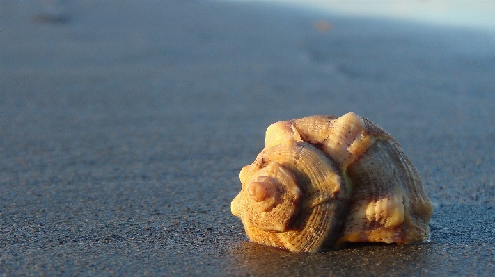 Strand meer sand rock Foto