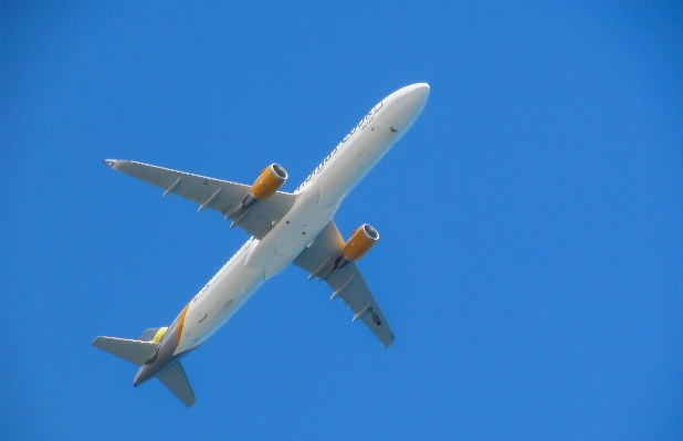 Wing sky flying airplane Photo