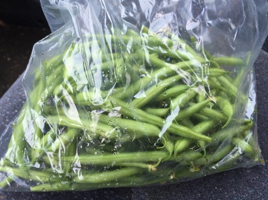 Food produce vegetable beans Photo