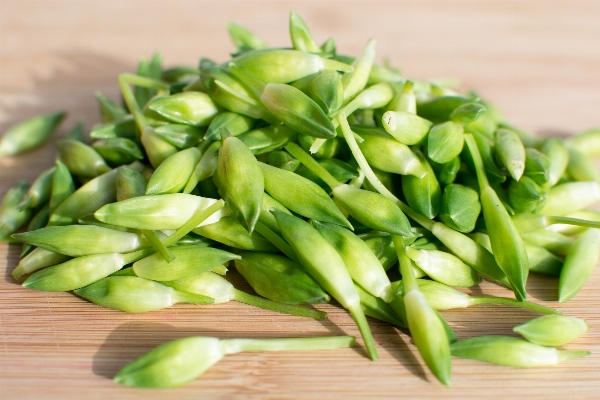 植物 花 皿 食べ物 写真