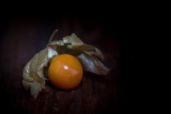 Plant photography fruit sweet Photo