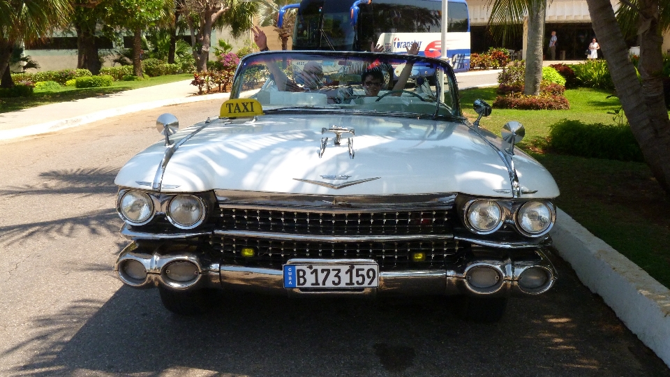 Blanc voiture véhicule auto