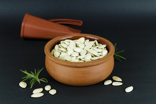 Seed pot bowl dish Photo