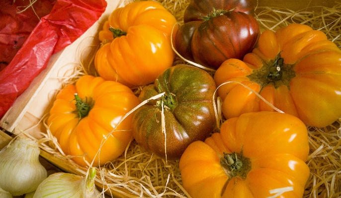 Anlage frucht essen produzieren Foto