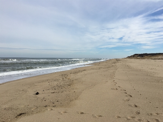 Beach sea coast water Photo