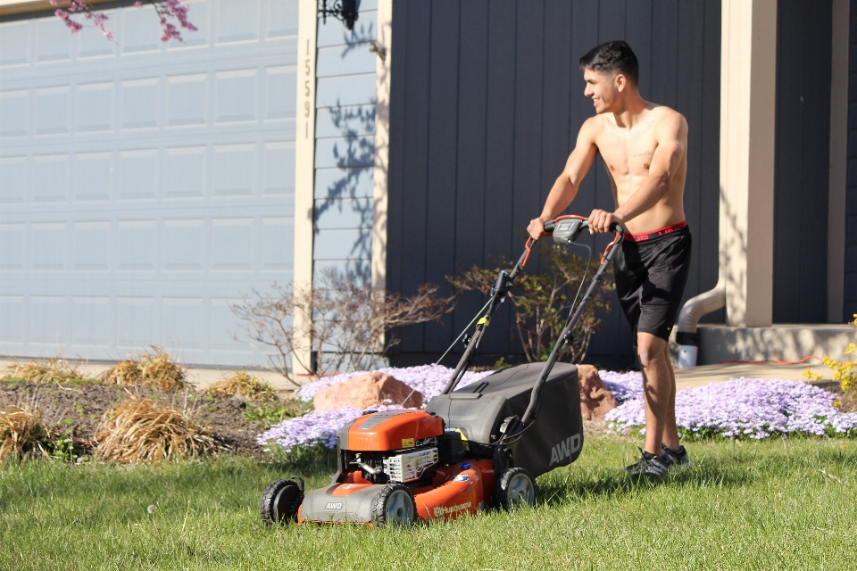 草 户外的 草地 工具