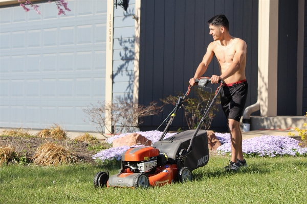 Grass outdoor lawn tool Photo