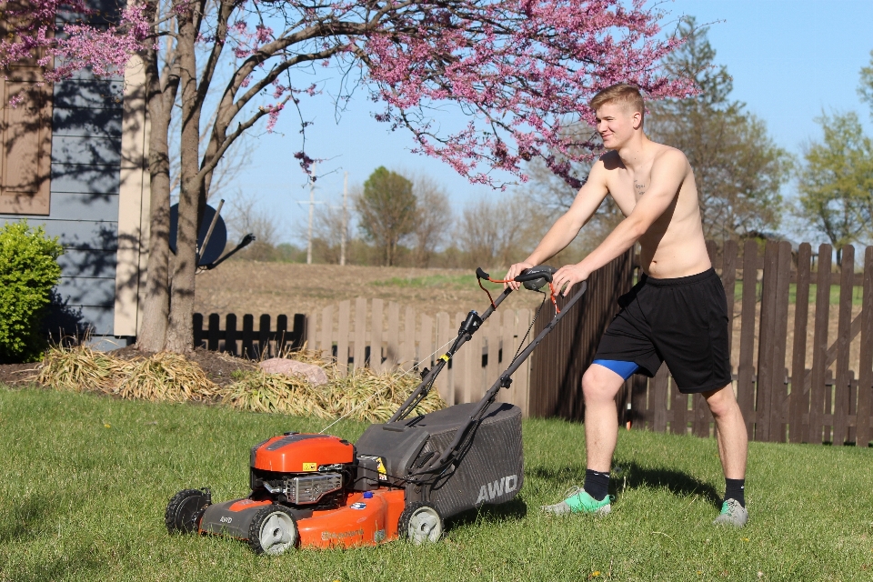 Grass outdoor lawn play