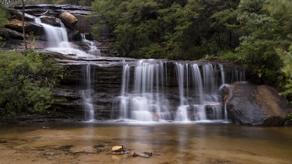 風景 水 自然 森