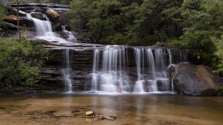 Landscape water nature forest Photo