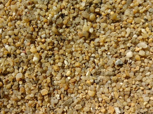 Sand texture pattern food Photo