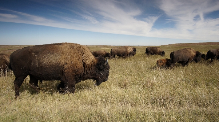 Landscape sky prairie adventure Photo