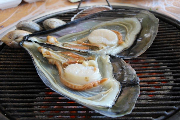 Dish food cooking oyster Photo