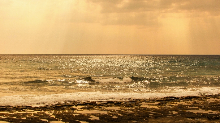 Beach sea coast sand Photo