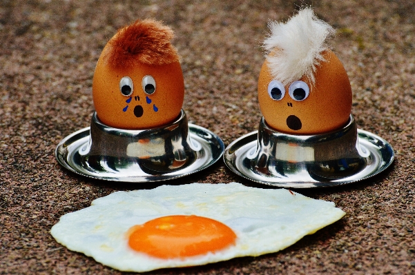 かわいい 皿 食事 食べ物 写真