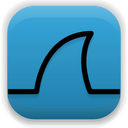 Wireshark logo Icon