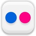 Flickr Icon