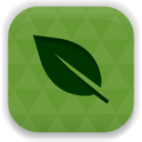 Springseed Icon