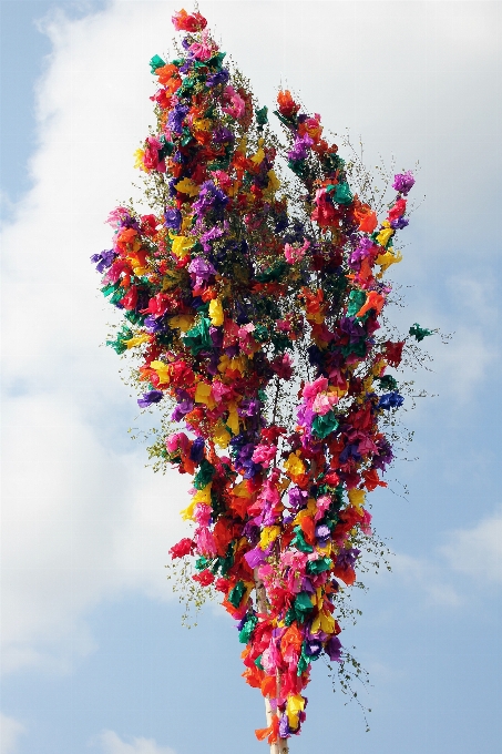 Baum zweig blüte anlage