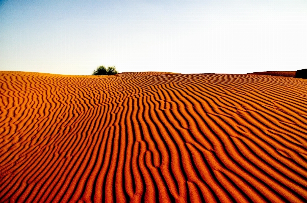 Landscape nature sand arid Photo