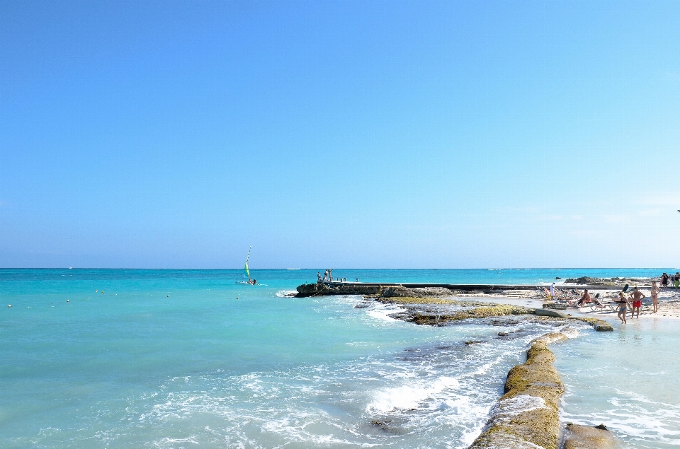 海滩 海 海岸 水