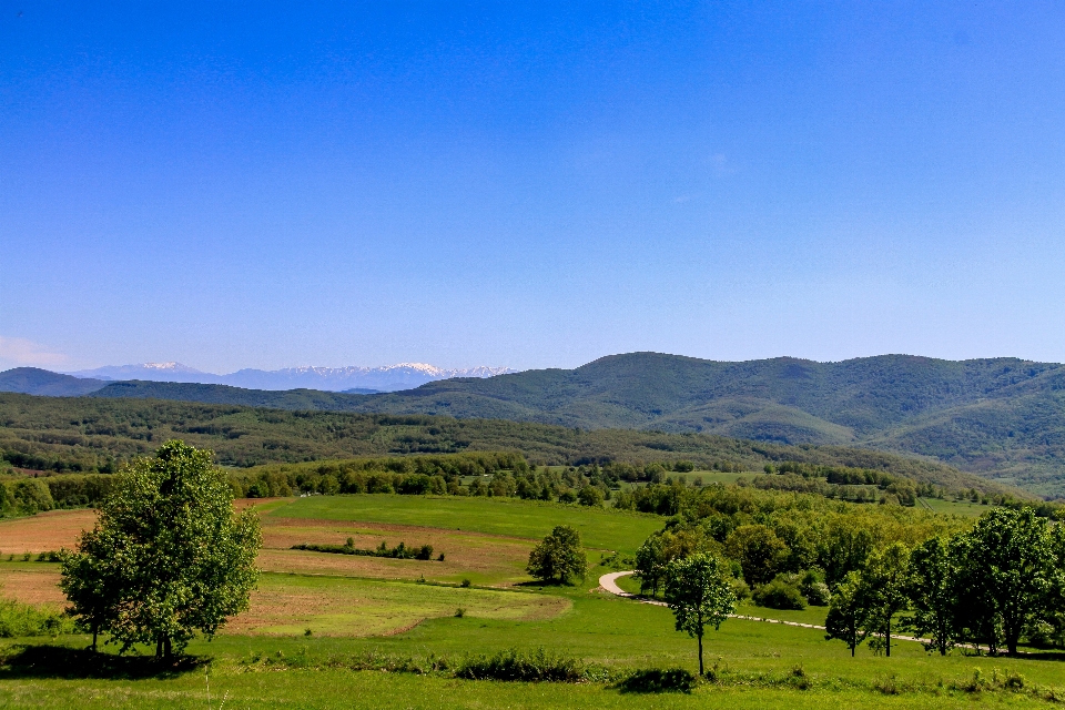 Landscape nature grass horizon