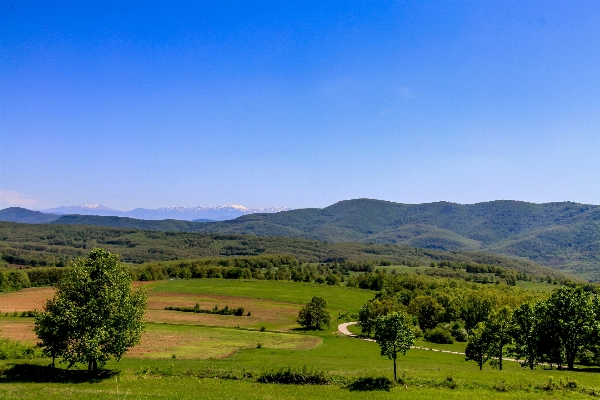 Landscape nature grass horizon Photo