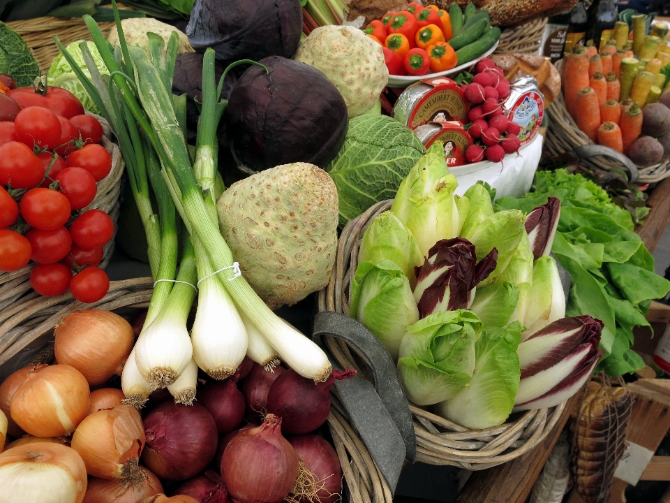 Range food salad harvest