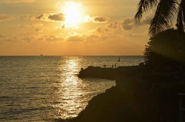 Beach landscape sea coast Photo